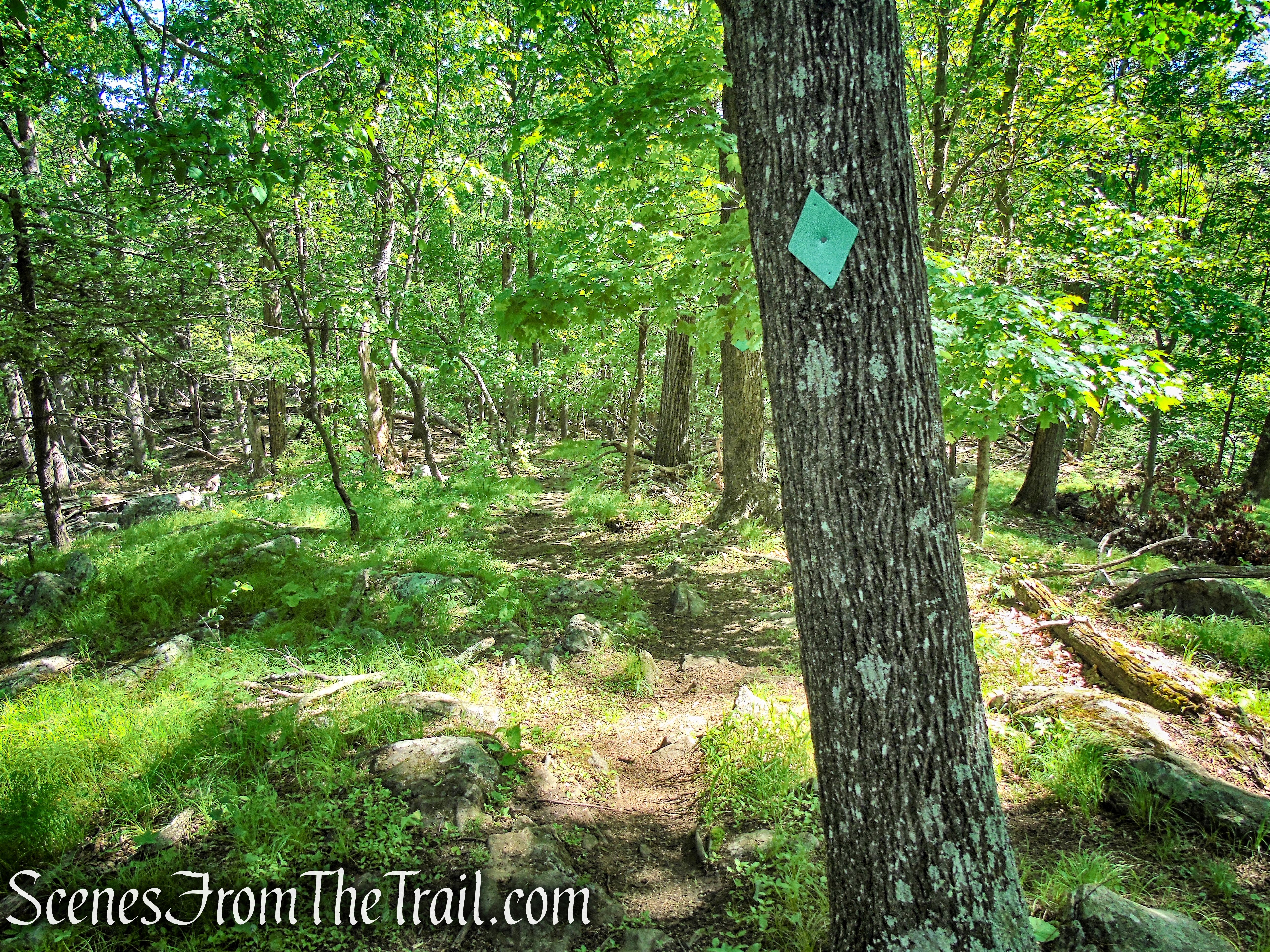 Green Trail - Whippoorwill Park