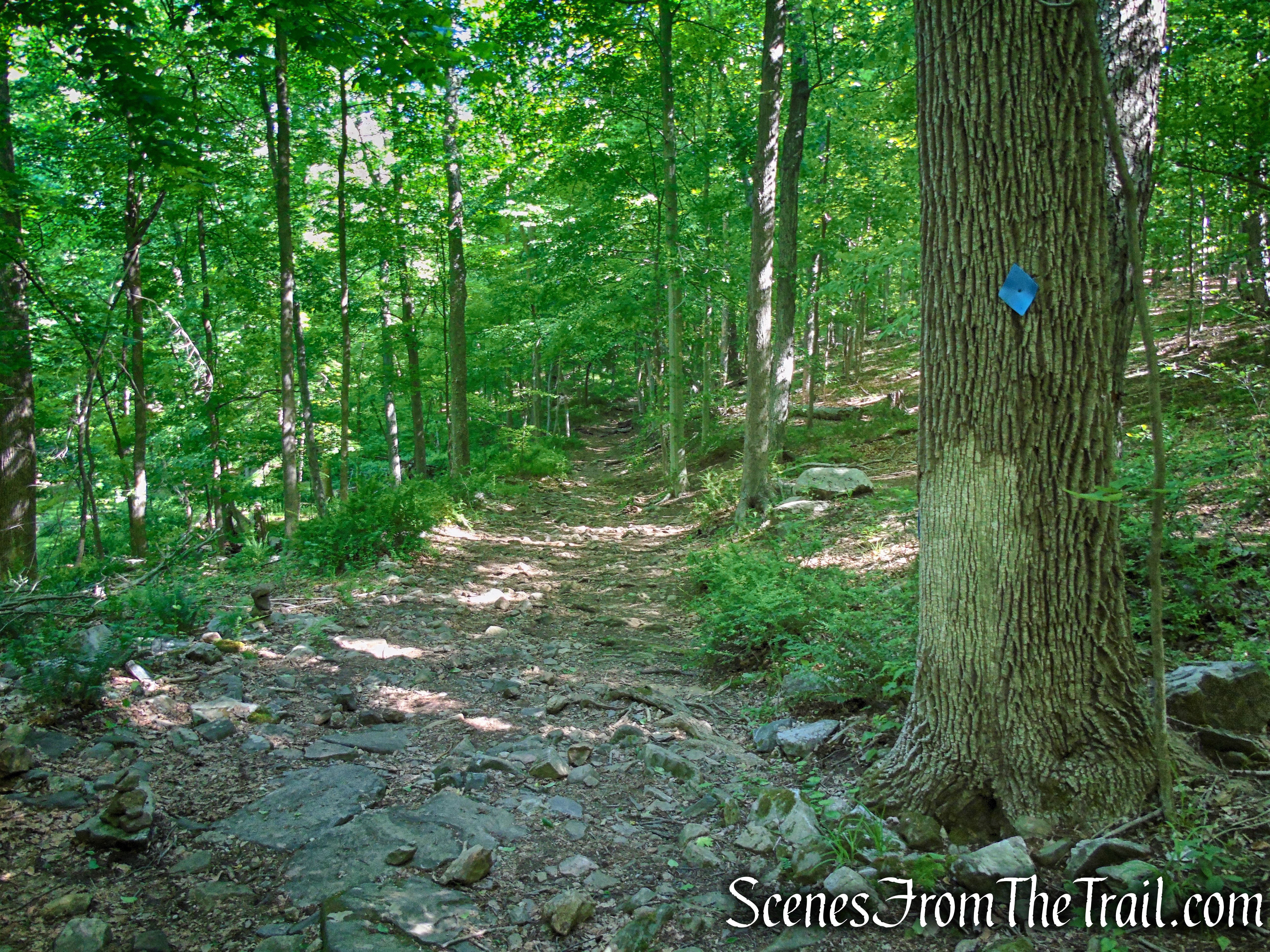 Blue Trail - Whippoorwill Park