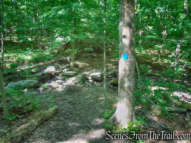 Blue Trail - Whippoorwill Park