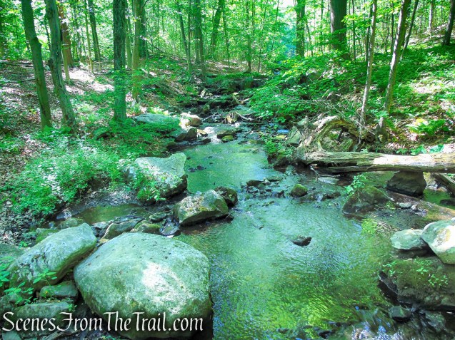 Blue Trail - Whippoorwill Park