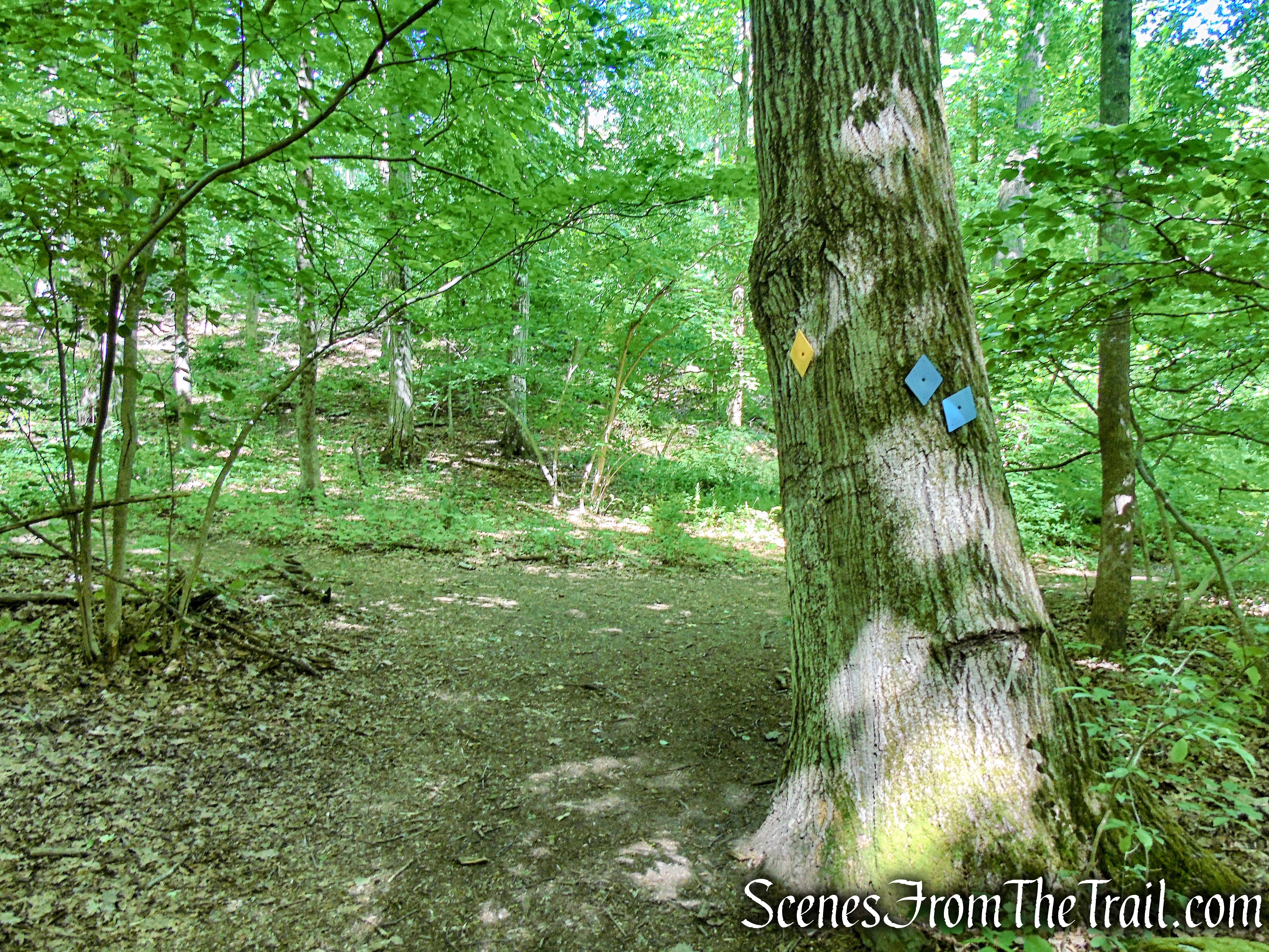 turn left on Yellow Trail