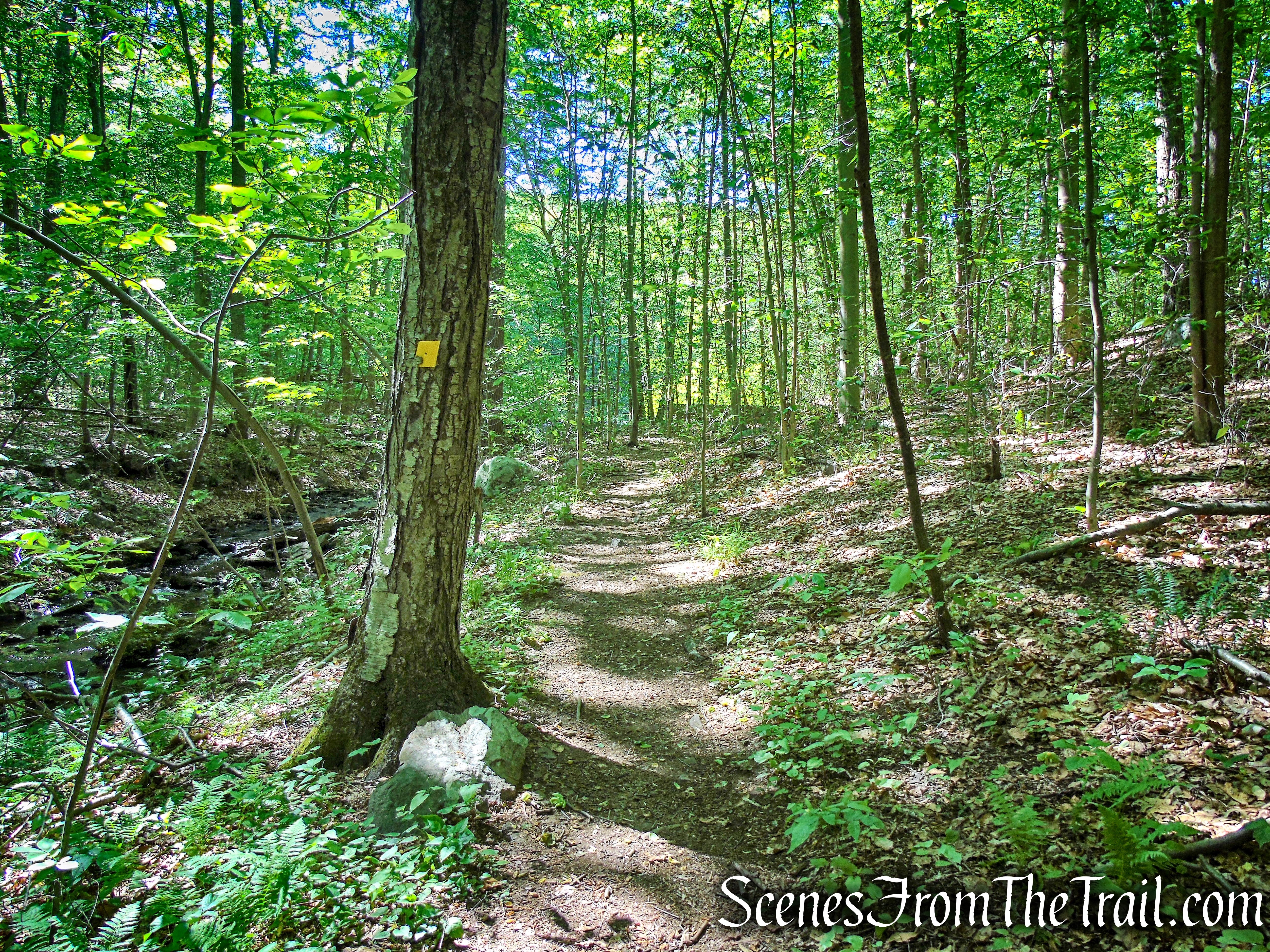 Yellow Trail - Whippoorwill Park