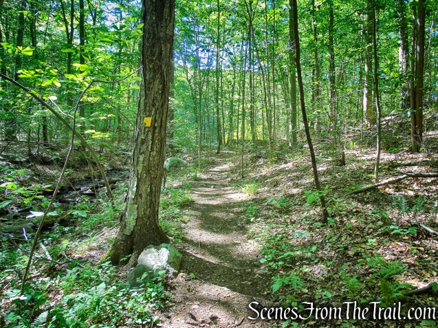 Yellow Trail - Whippoorwill Park