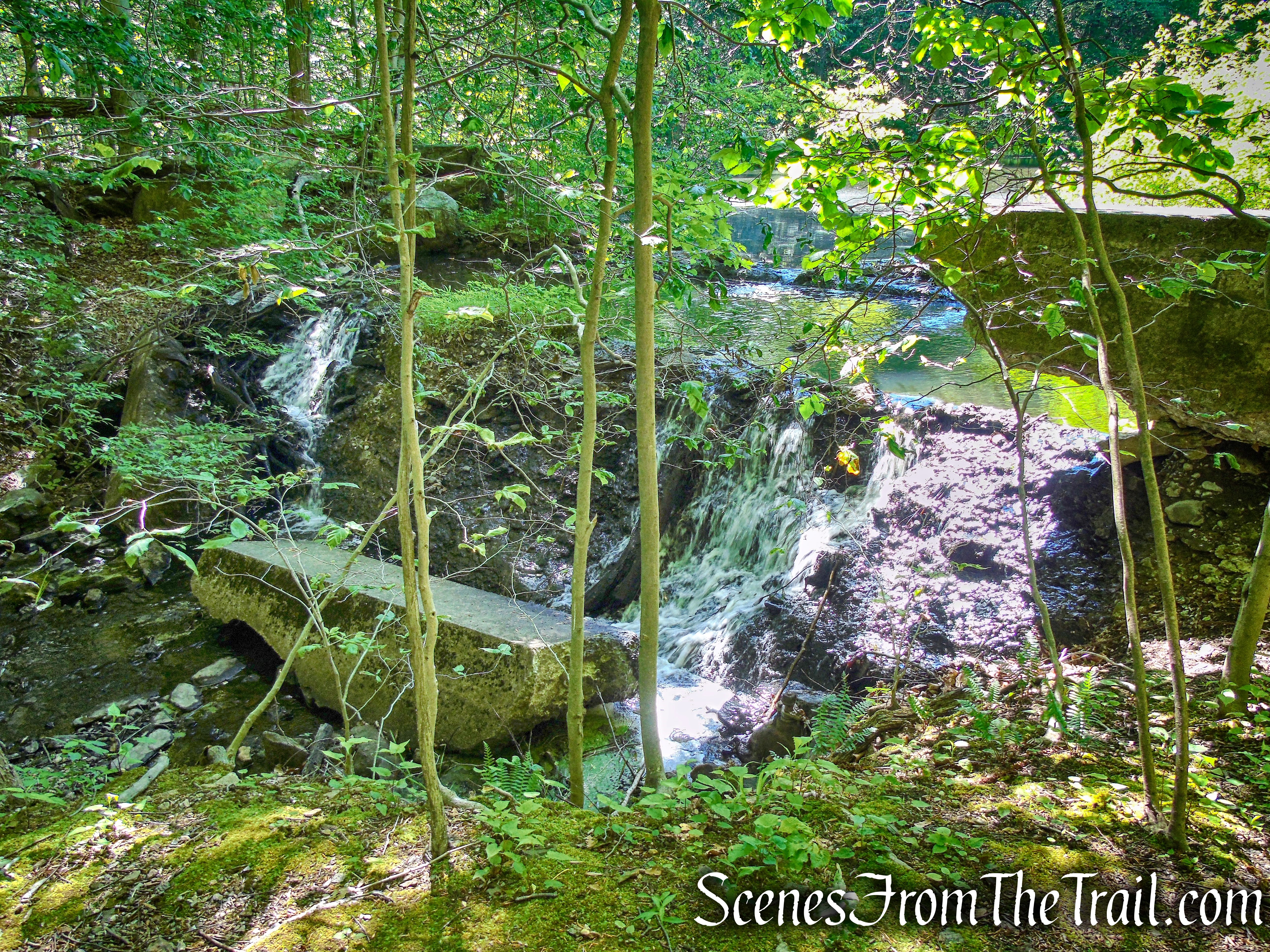 Yellow Trail - Whippoorwill Park