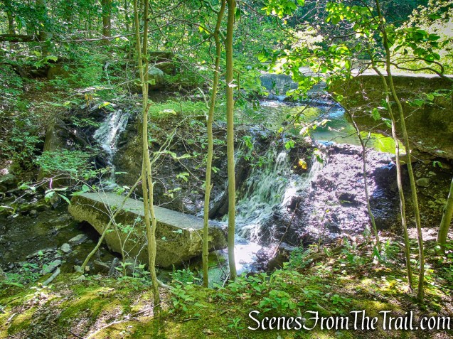 Yellow Trail - Whippoorwill Park