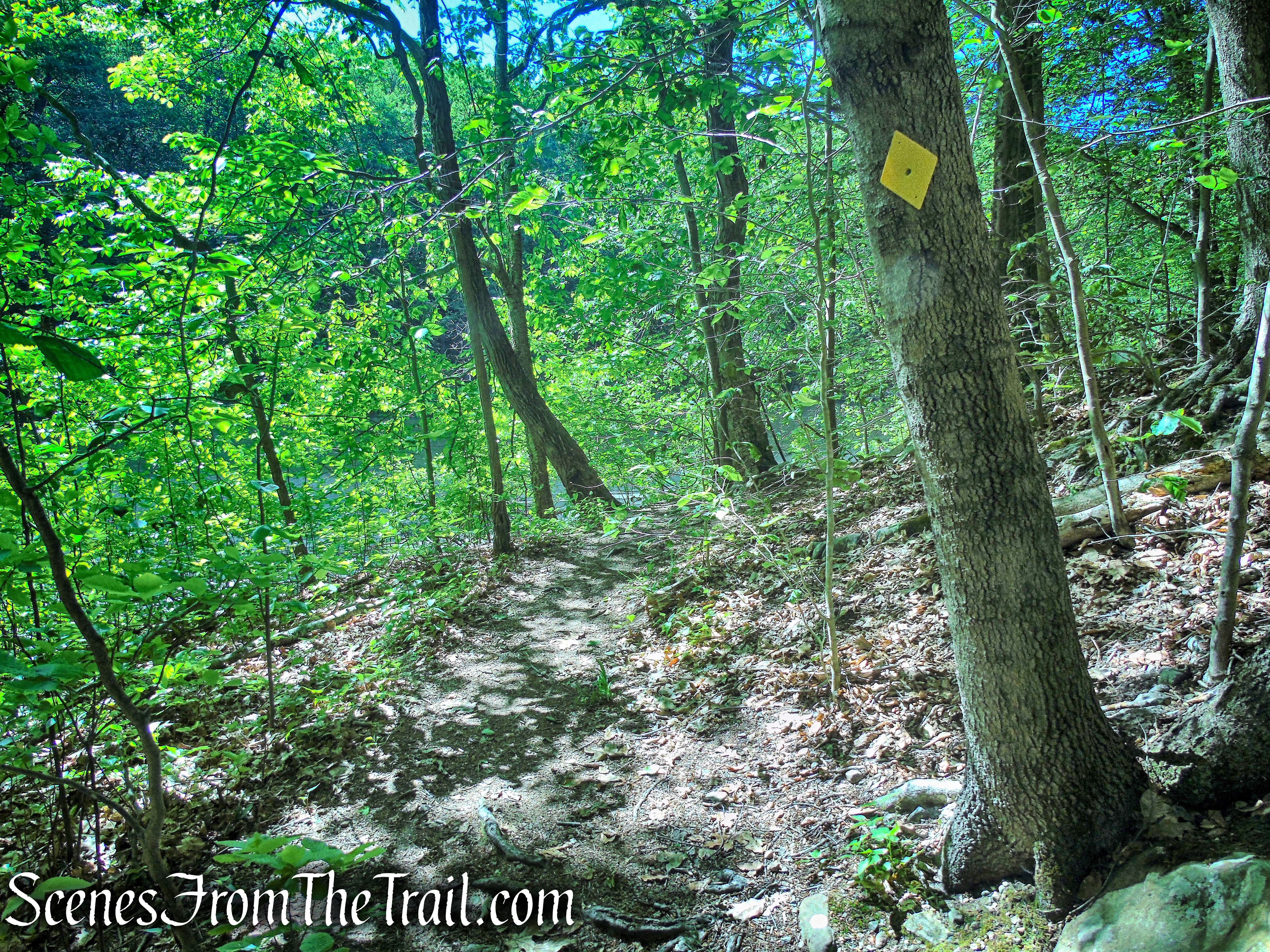 Yellow Trail - Whippoorwill Park
