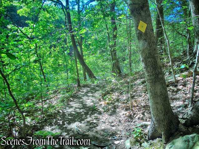 Yellow Trail - Whippoorwill Park
