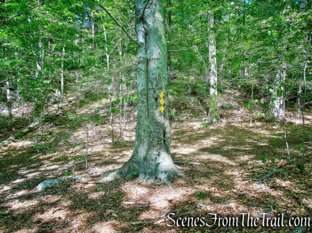 Yellow Trail - Whippoorwill Park