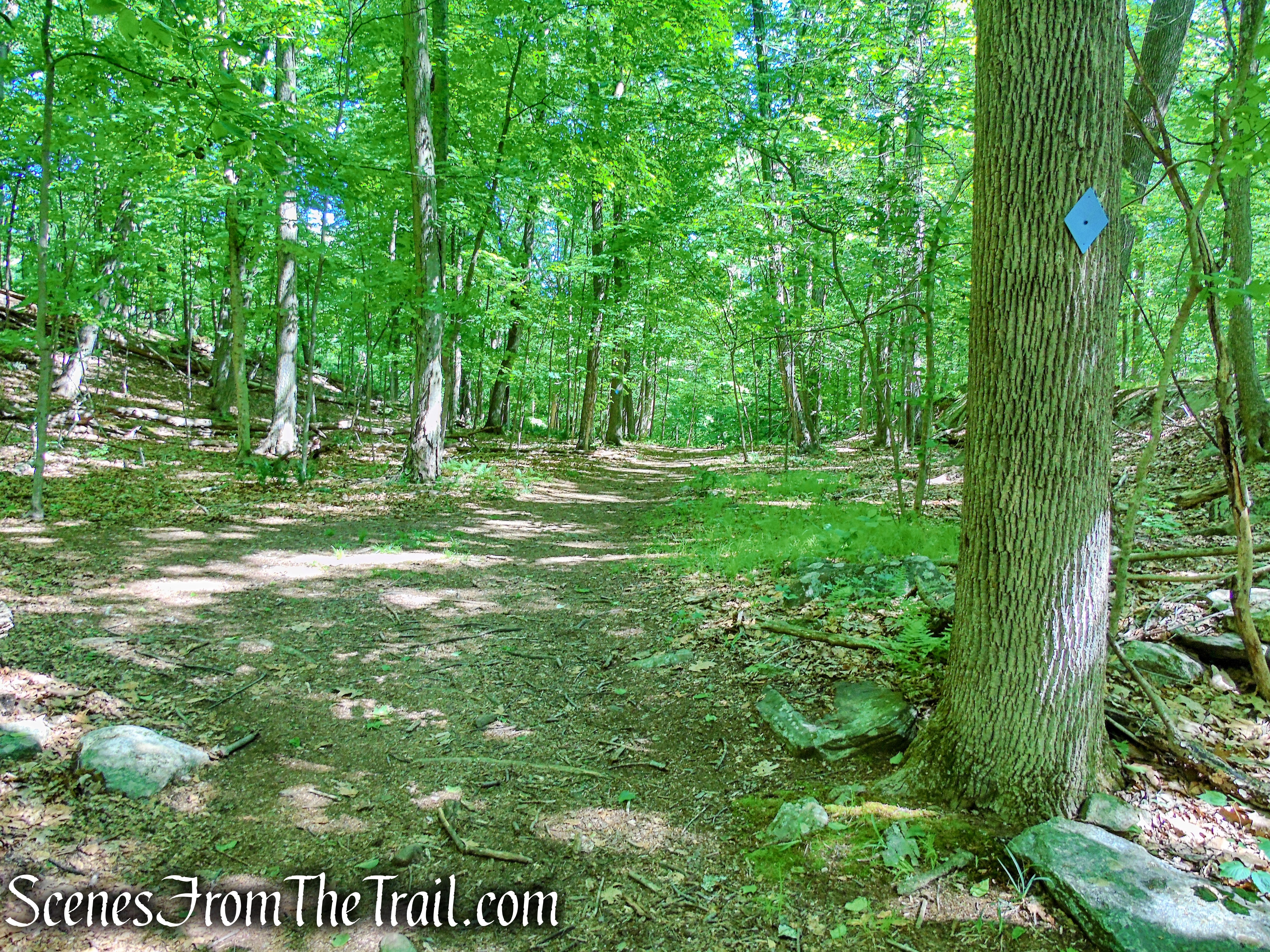 Blue Trail - Whippoorwill Park