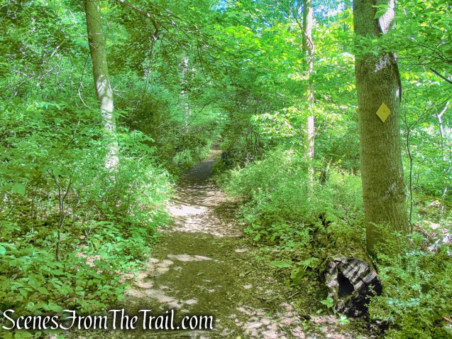 Yellow Trail - Whippoorwill Park