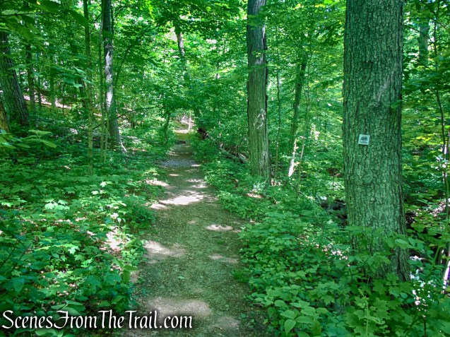 White Trail - Whippoorwill Park