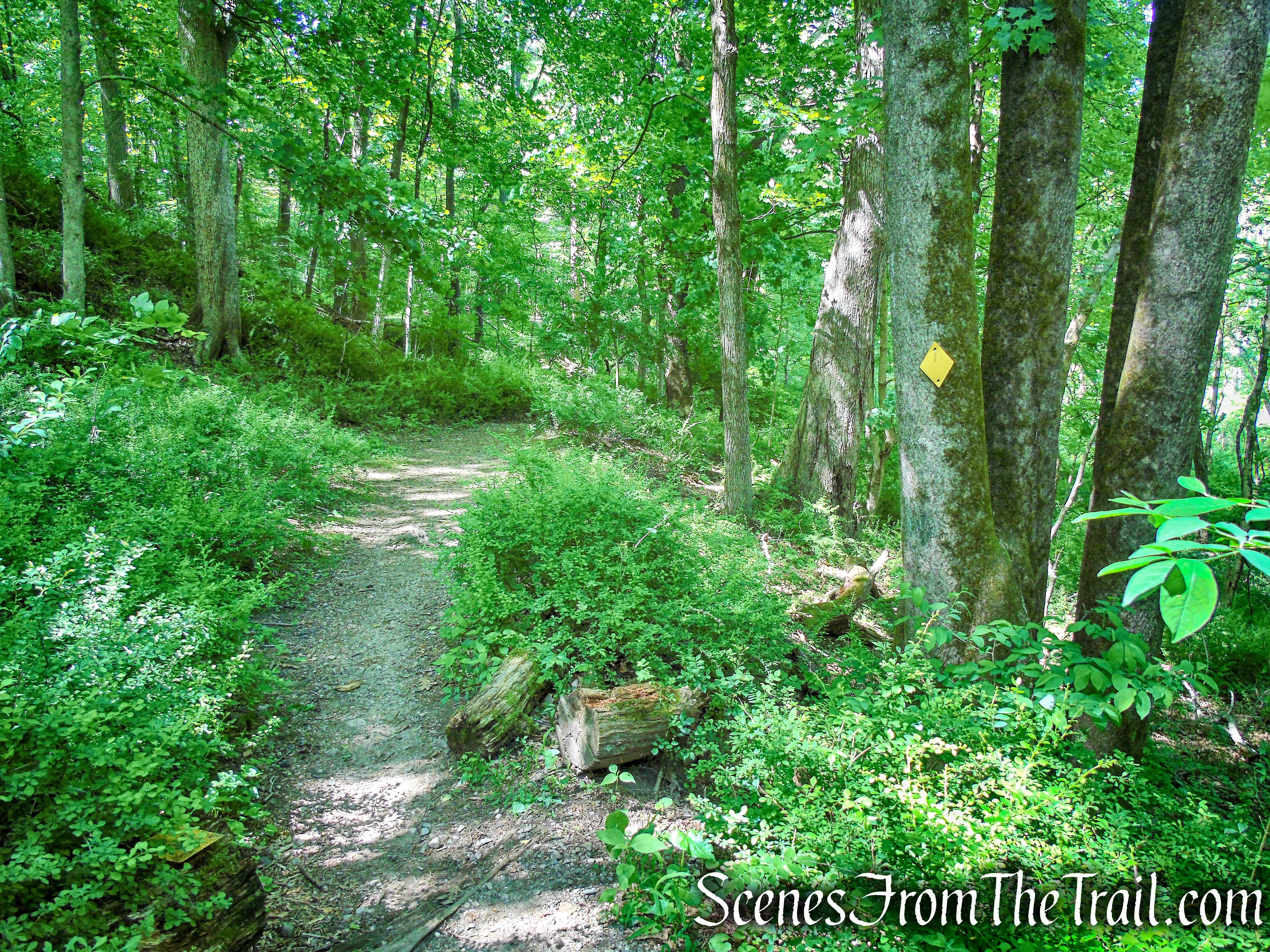 Yellow Trail - Whippoorwill Park