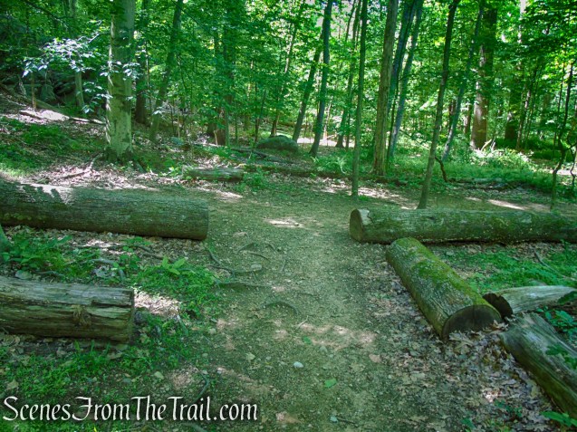 Yellow Trail - Whippoorwill Park