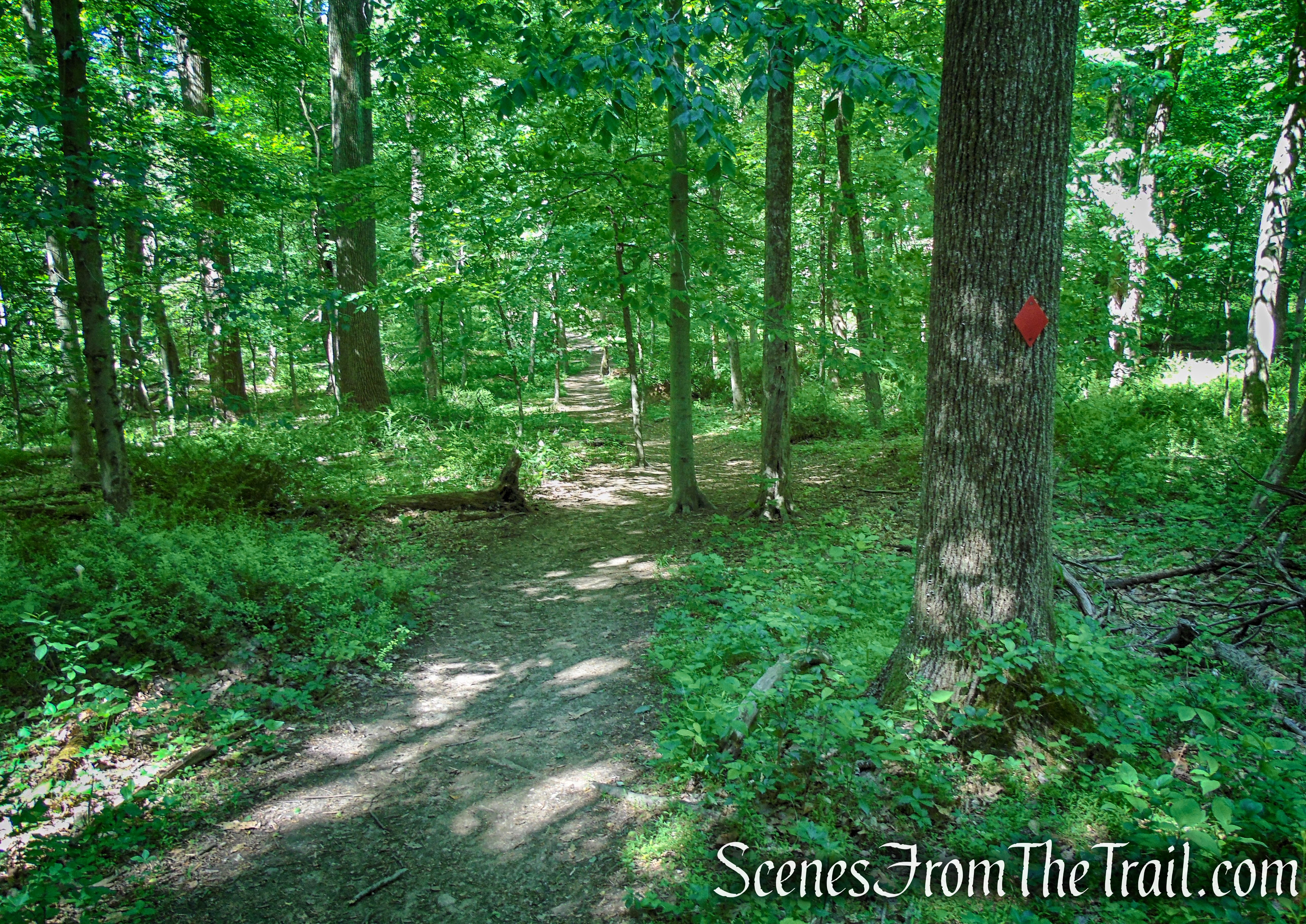 Red Trail - Whippoorwill Park