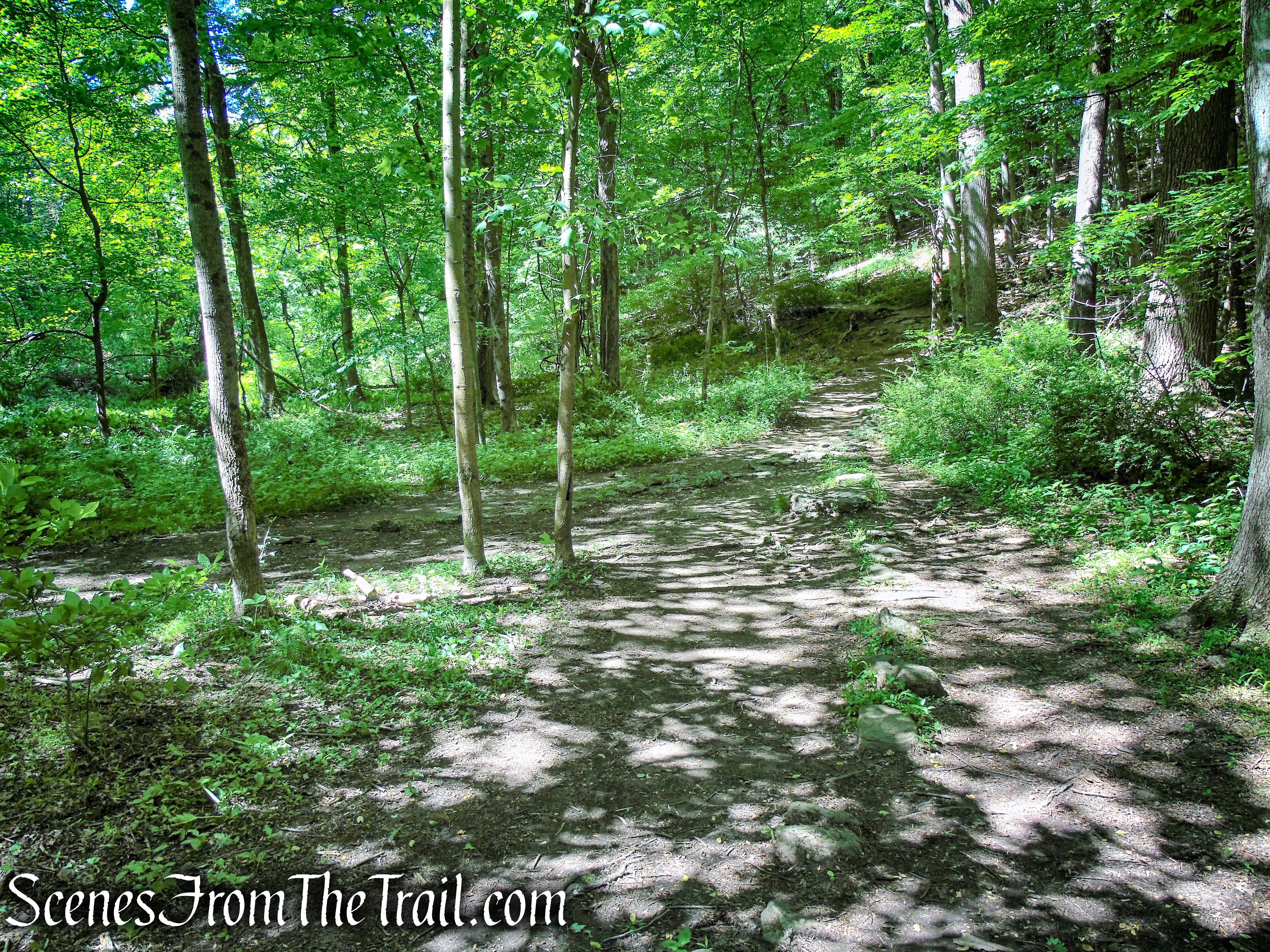 Red Trail - Whippoorwill Park