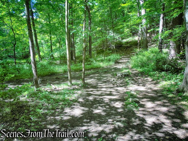 Red Trail - Whippoorwill Park