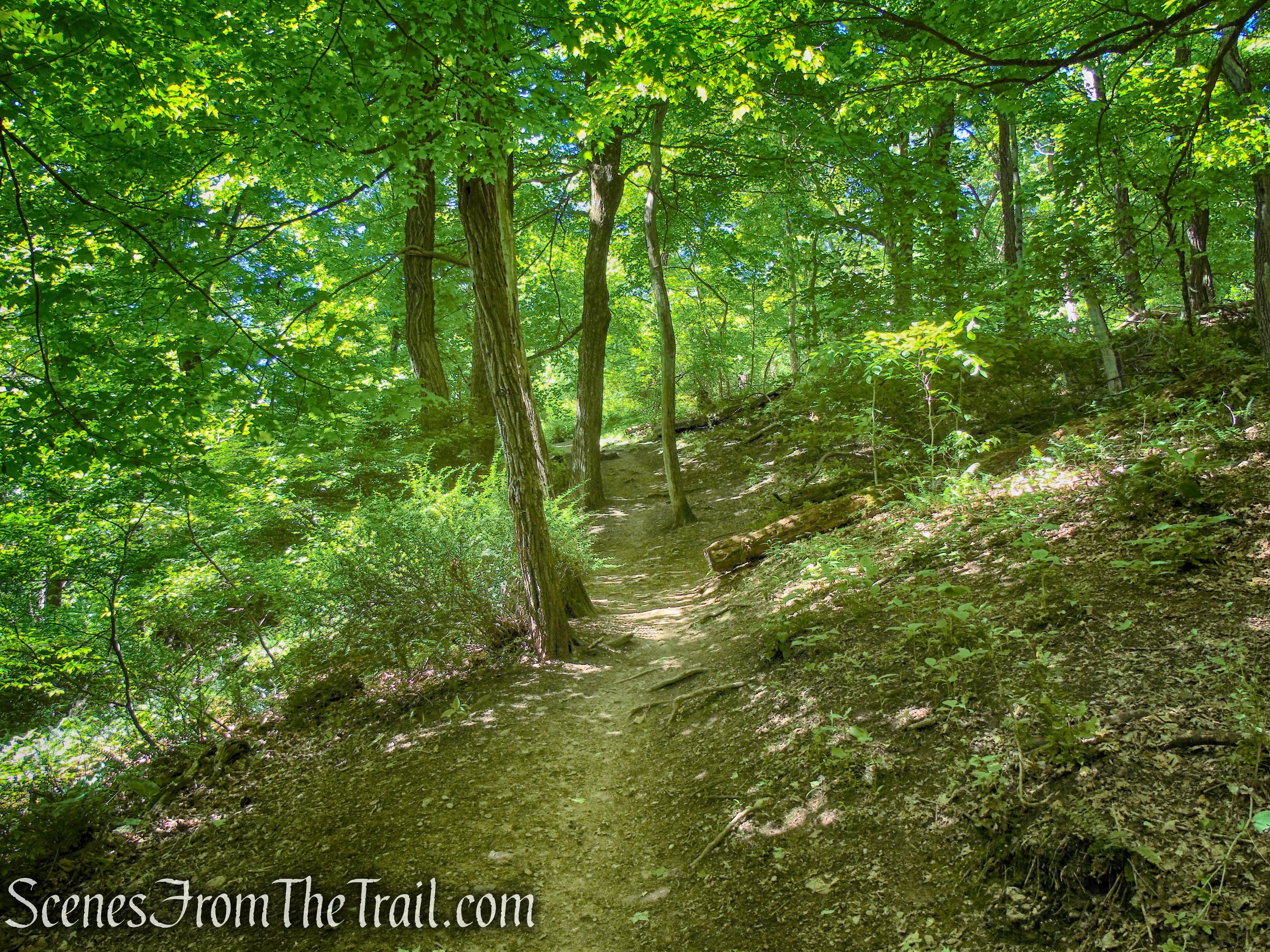 Red Trail - Whippoorwill Park