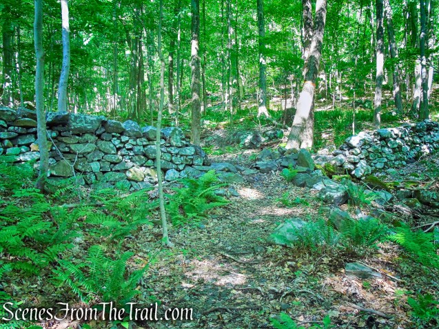 Salt Hill State Forest