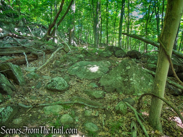 Salt Hill State Forest