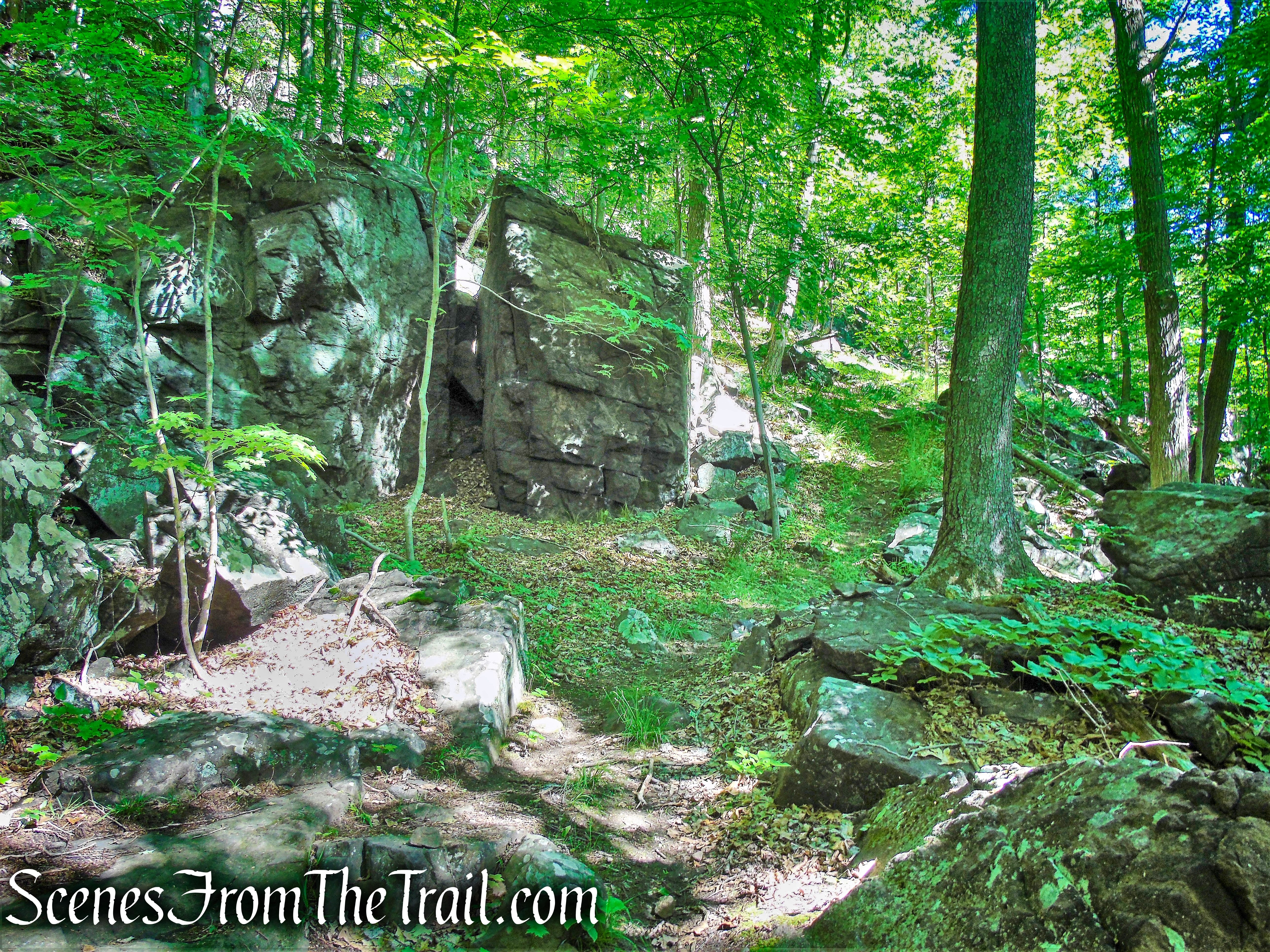 Salt Hill State Forest