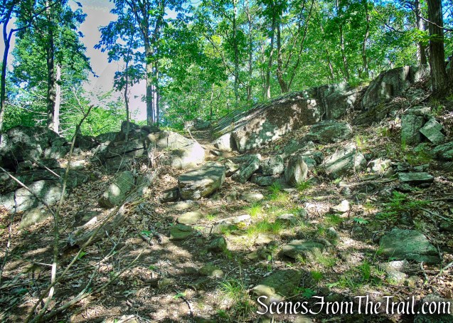 Salt Hill State Forest