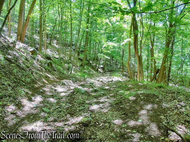 woods road - Salt Hill State Forest