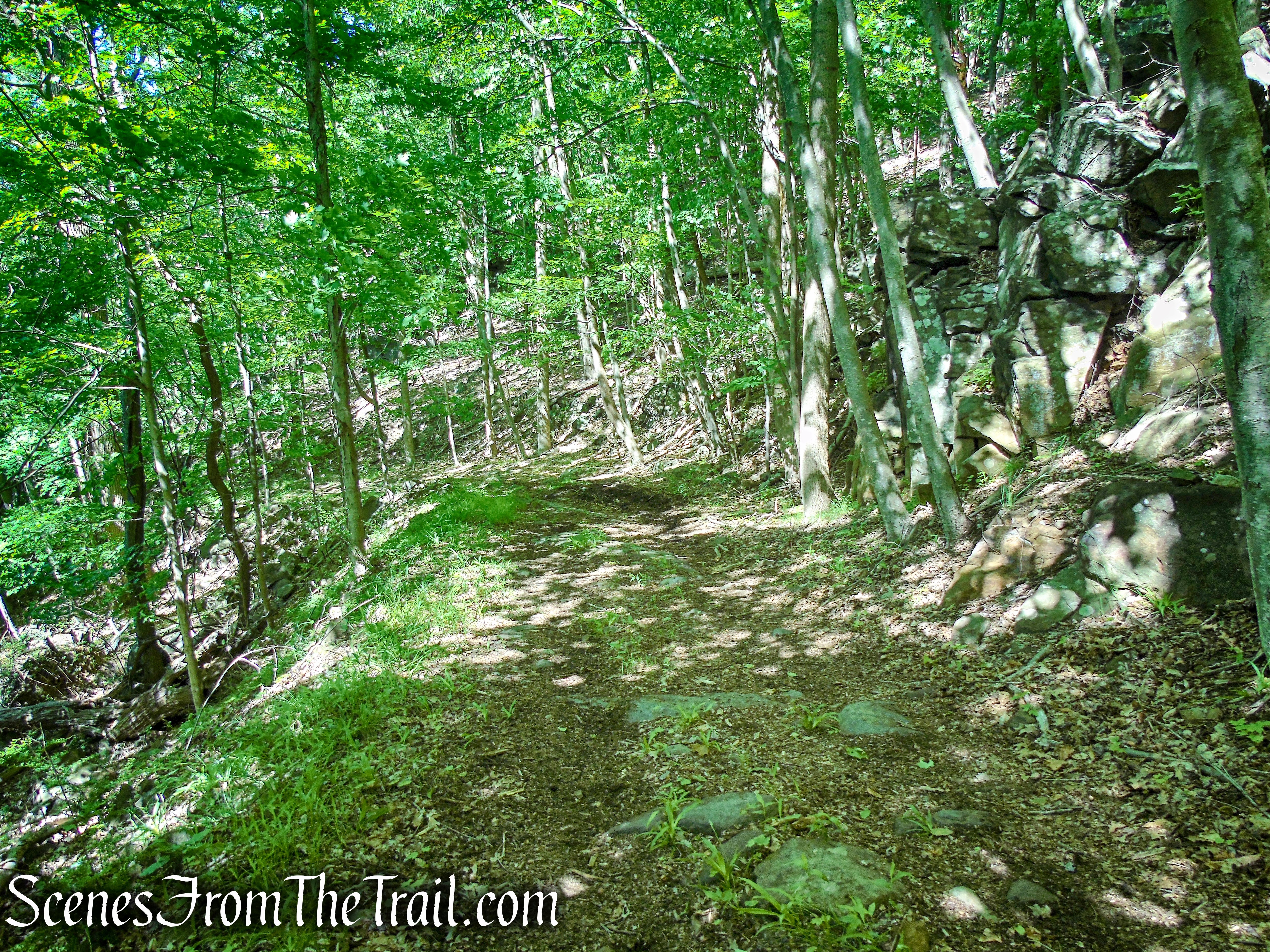 woods road - Salt Hill State Forest