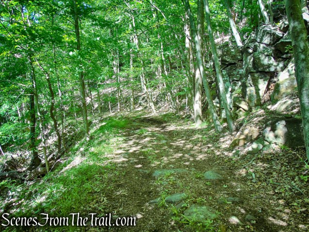 woods road - Salt Hill State Forest