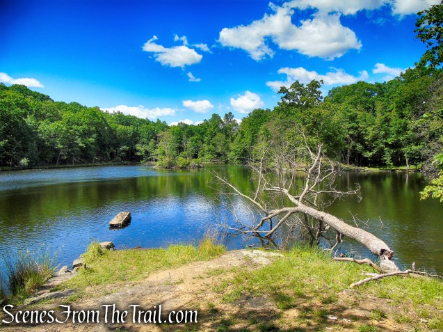 Blue Lake - Salt Hill State Forest