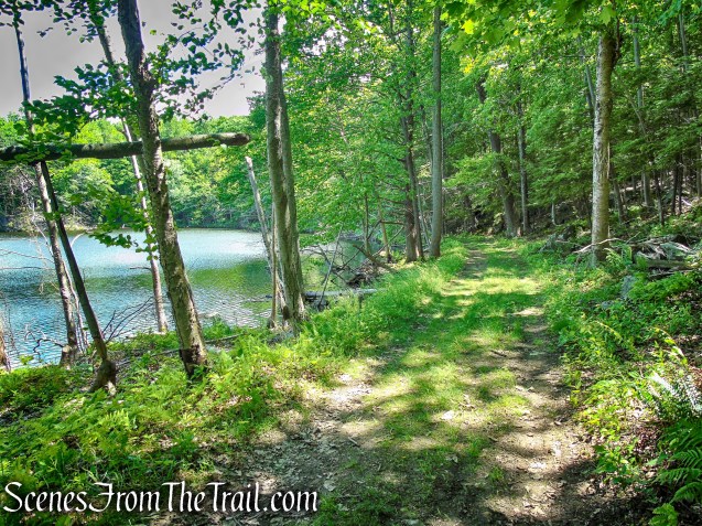 woods road around Blue Lake - Salt Hill State Forest