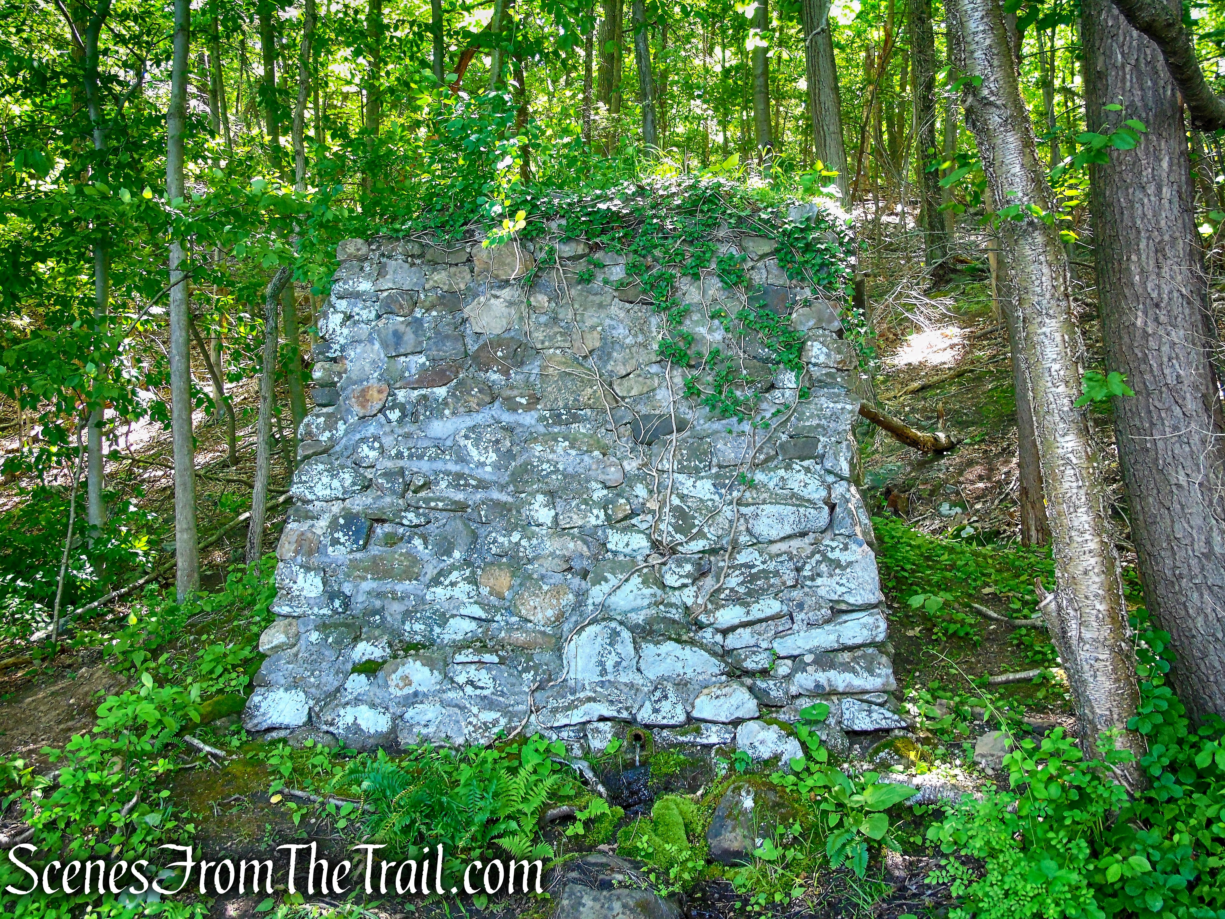 ruins at Blue Lake - Salt Hill State Forest
