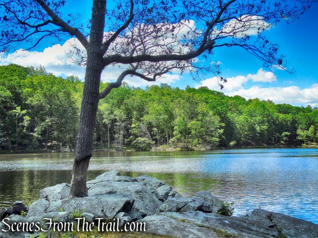 Blue Lake - Salt Hill State Forest