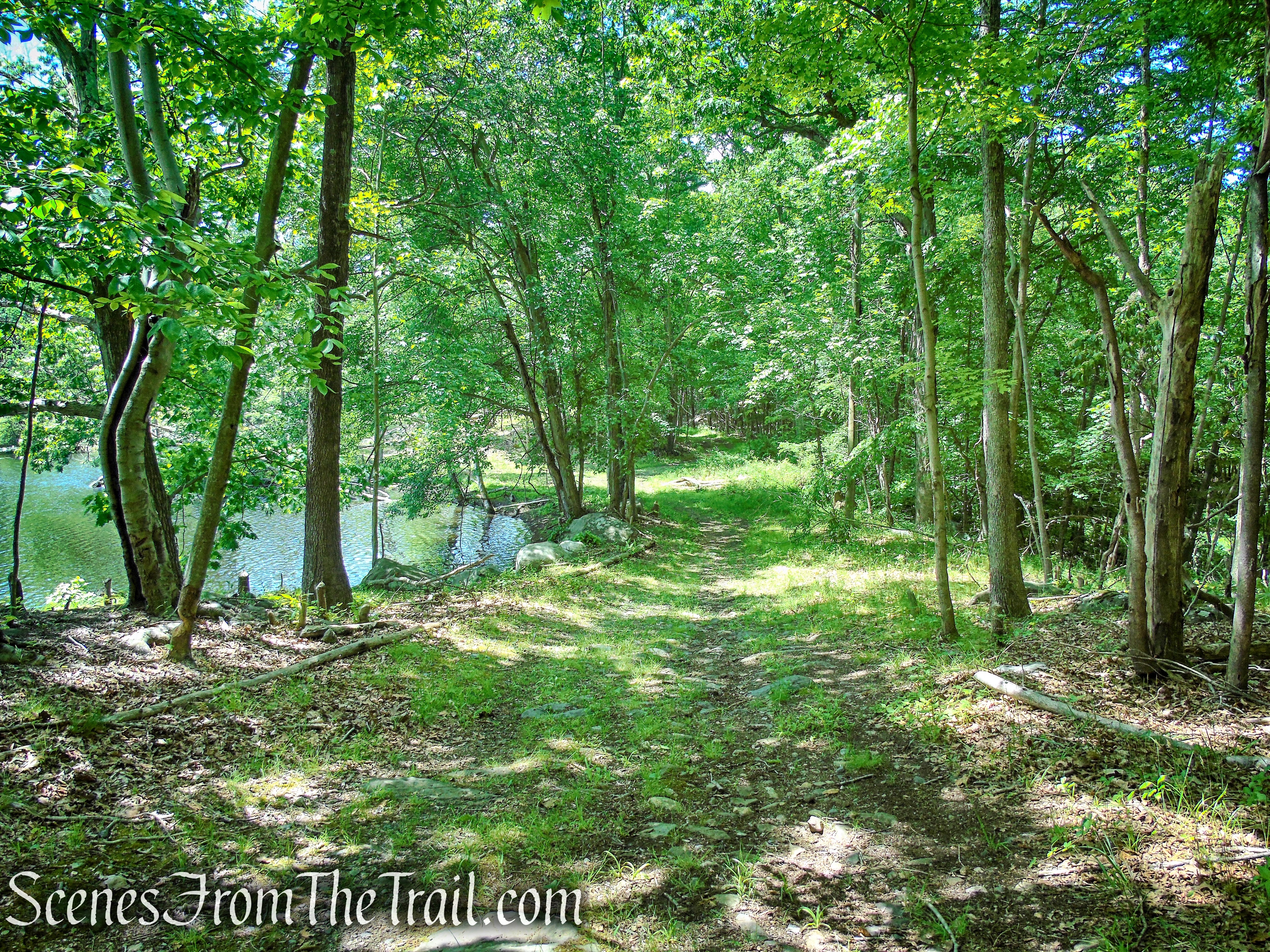 woods road around Blue Lake - Salt Hill State Forest