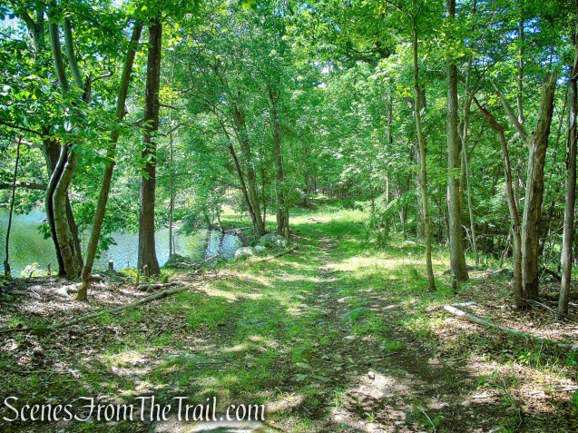 woods road around Blue Lake - Salt Hill State Forest