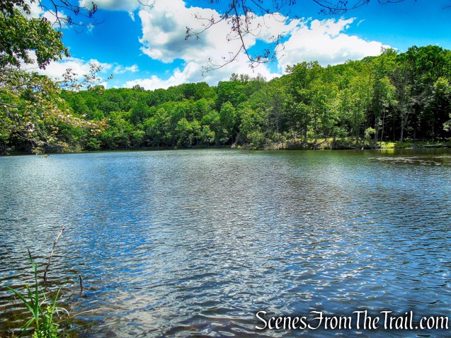 Blue Lake - Salt Hill State Forest