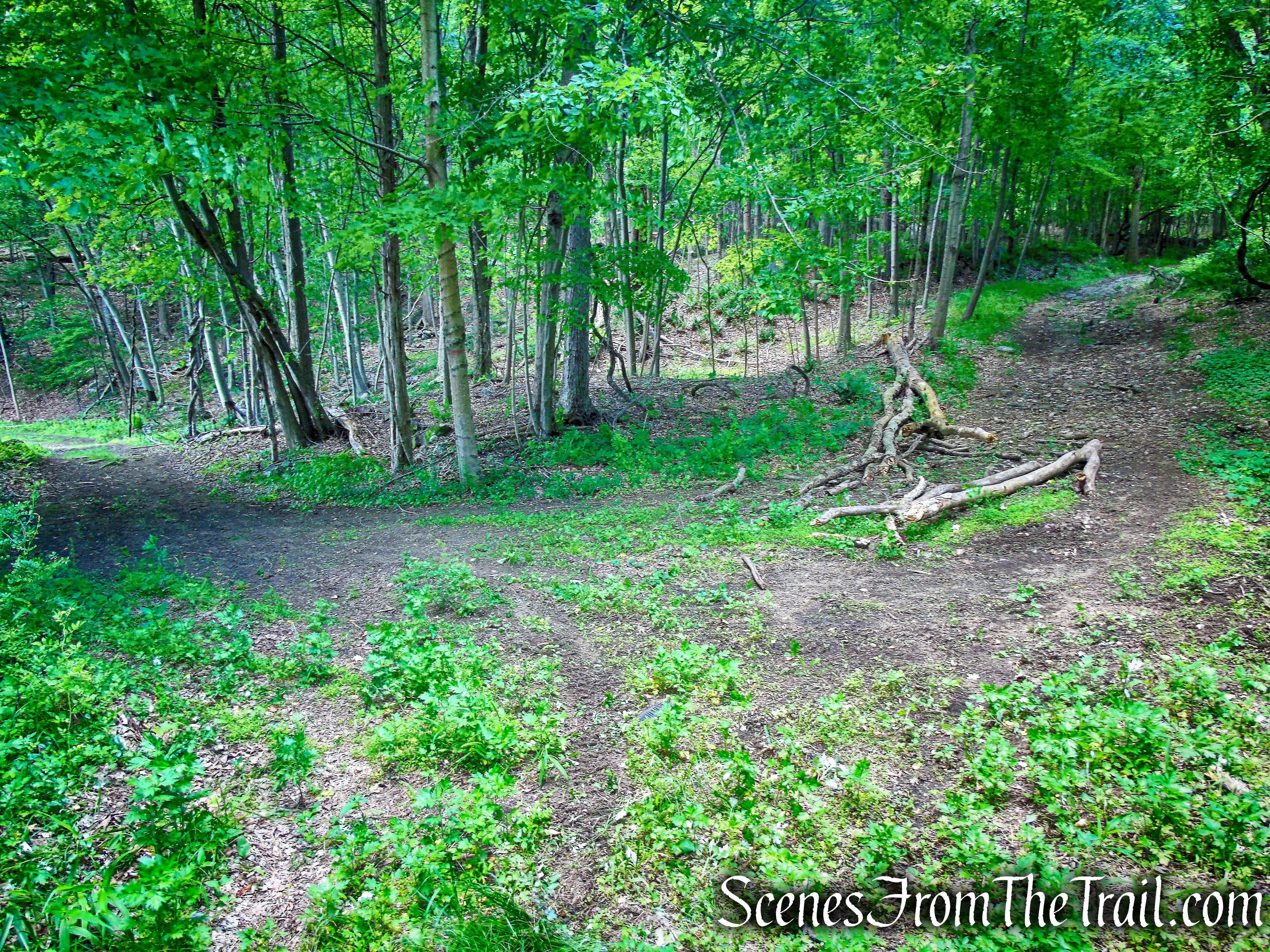 bear right at the fork