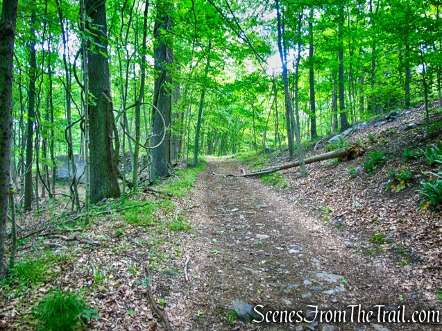 woods road - Salt Hill State Forest