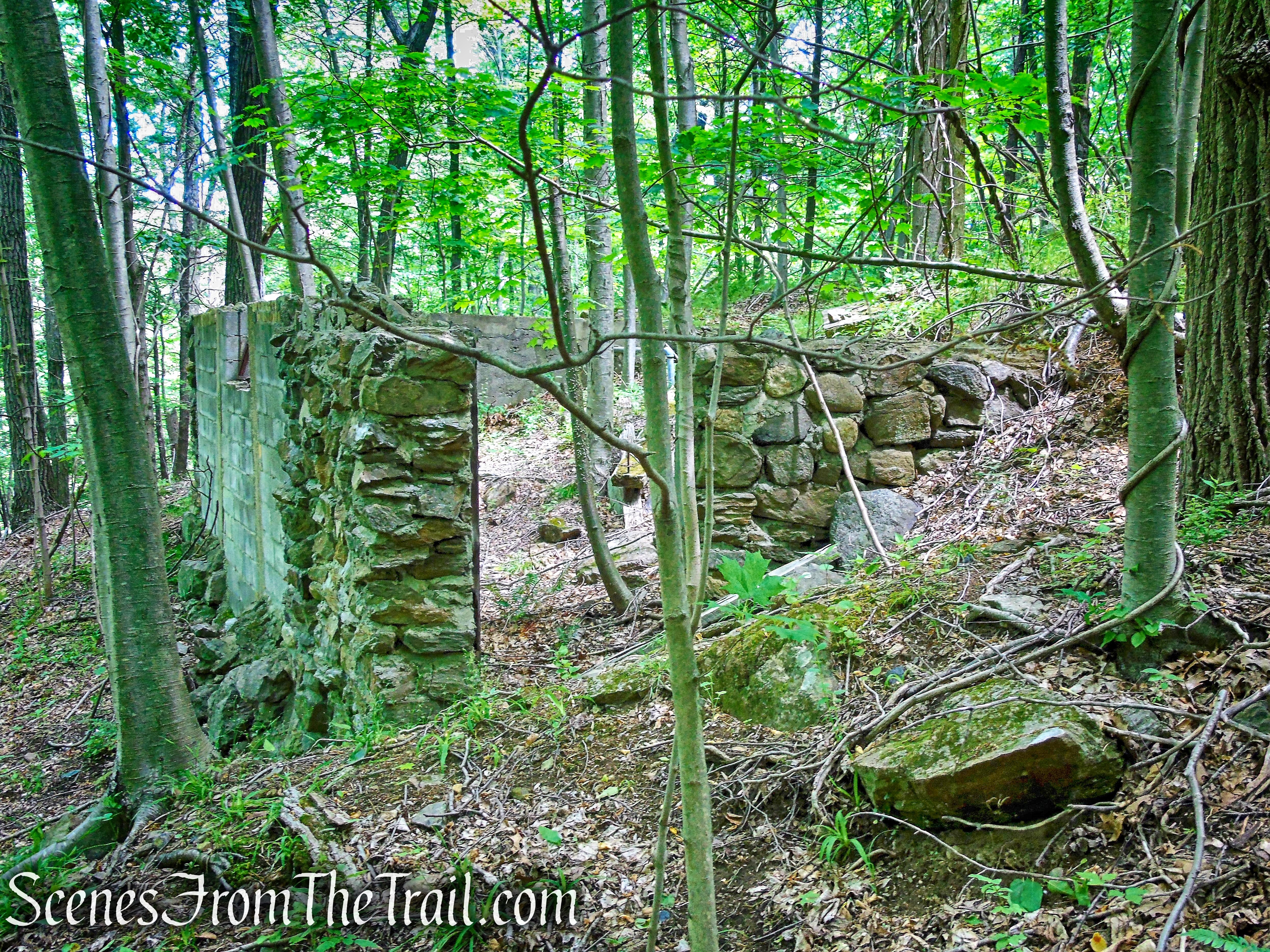 ruins near Blue Lake - Salt Hill State Forest