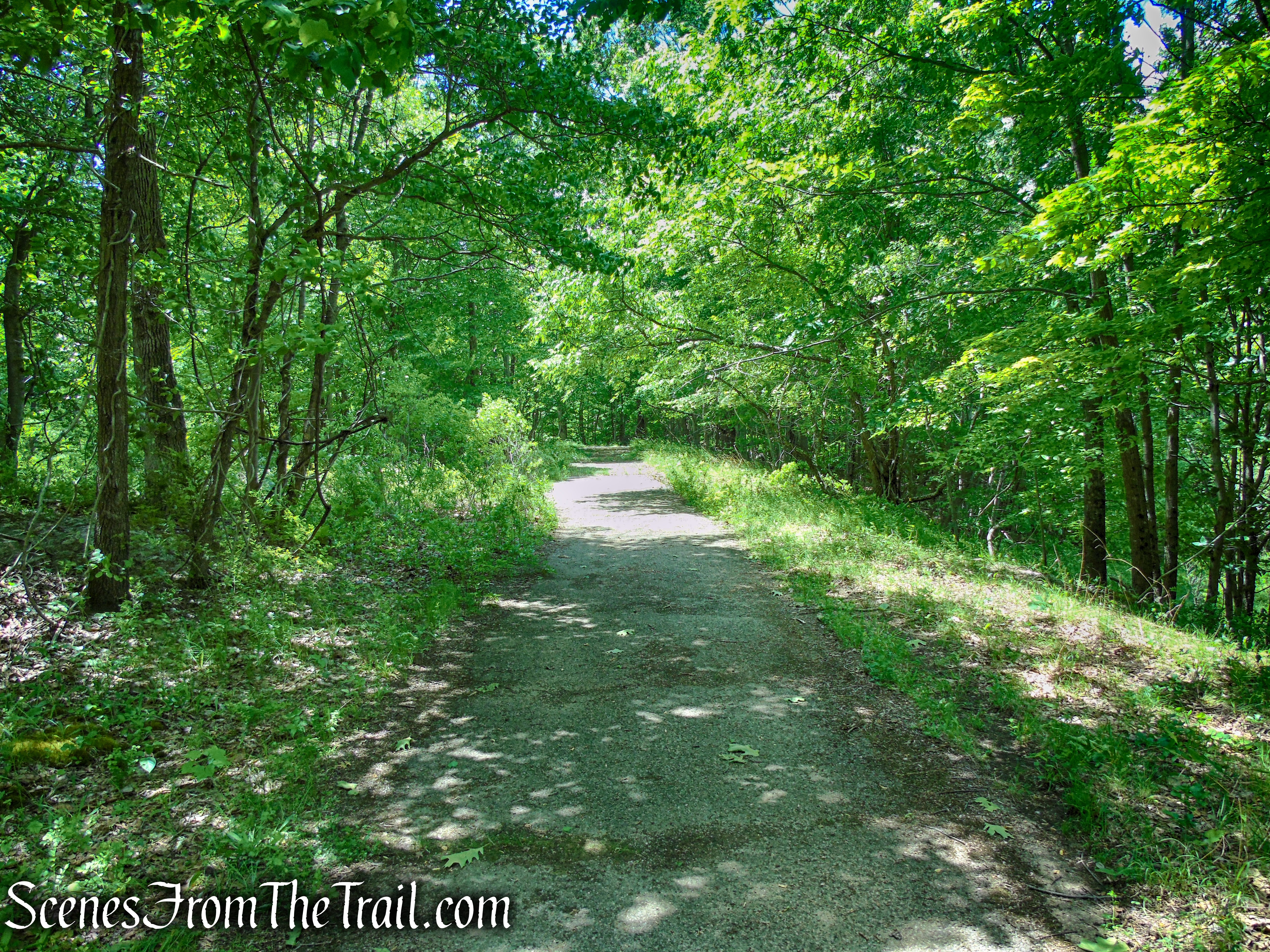 asphalt road - Salt Hill State Forest