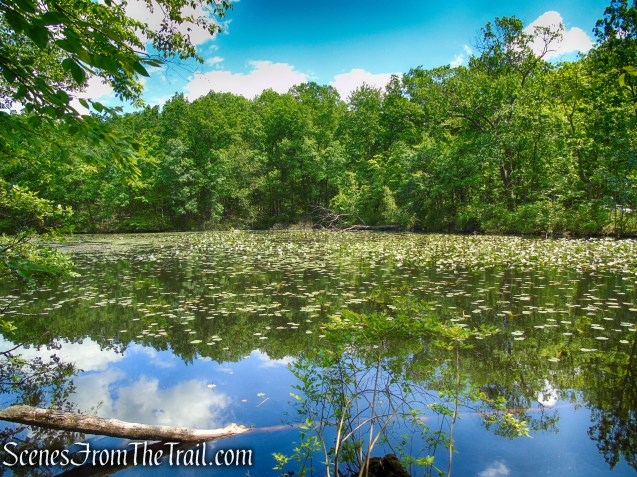 pond - Salt Hill State Forest