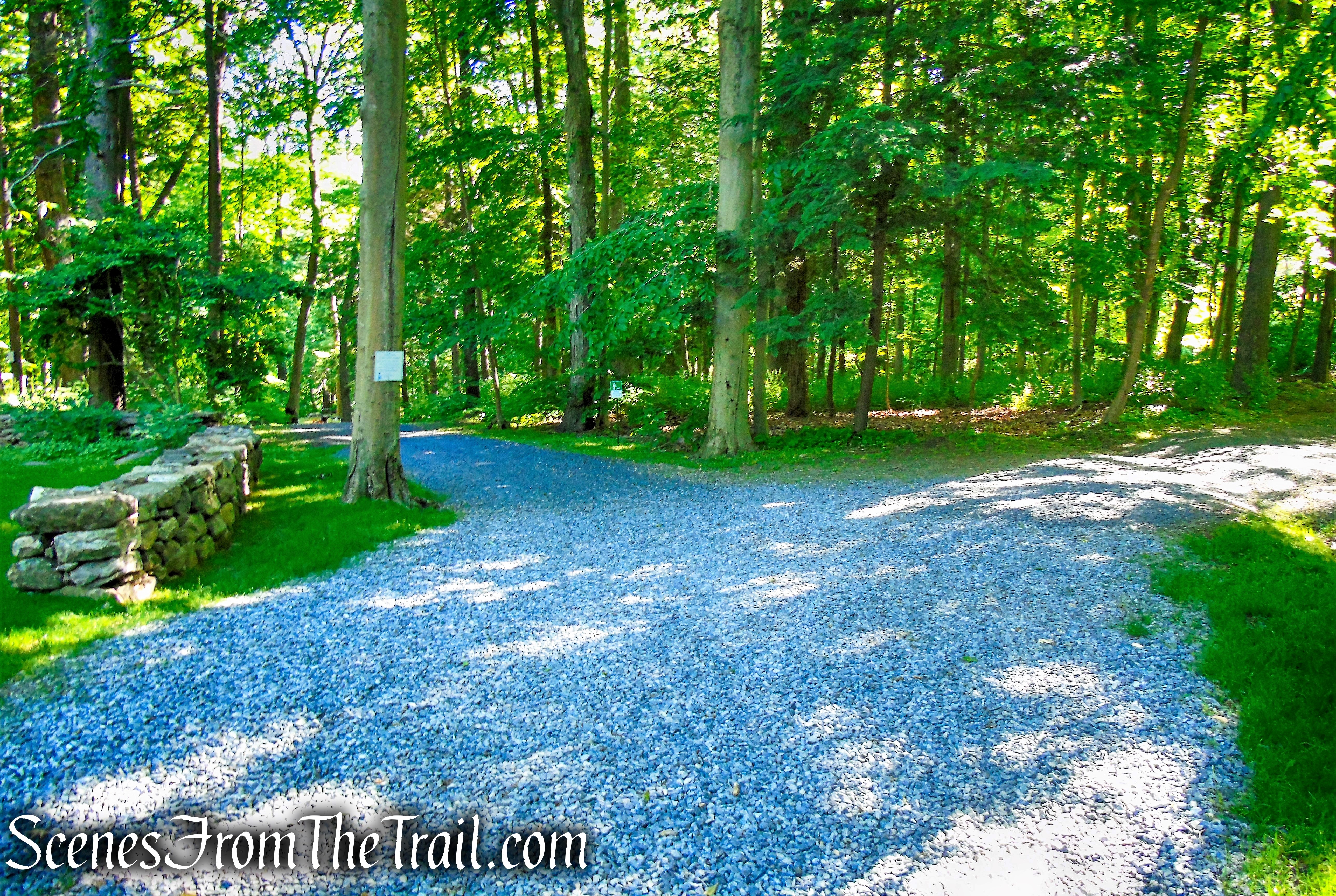 bear left - Glebe Trail - St. Matthew's Church Woodlands