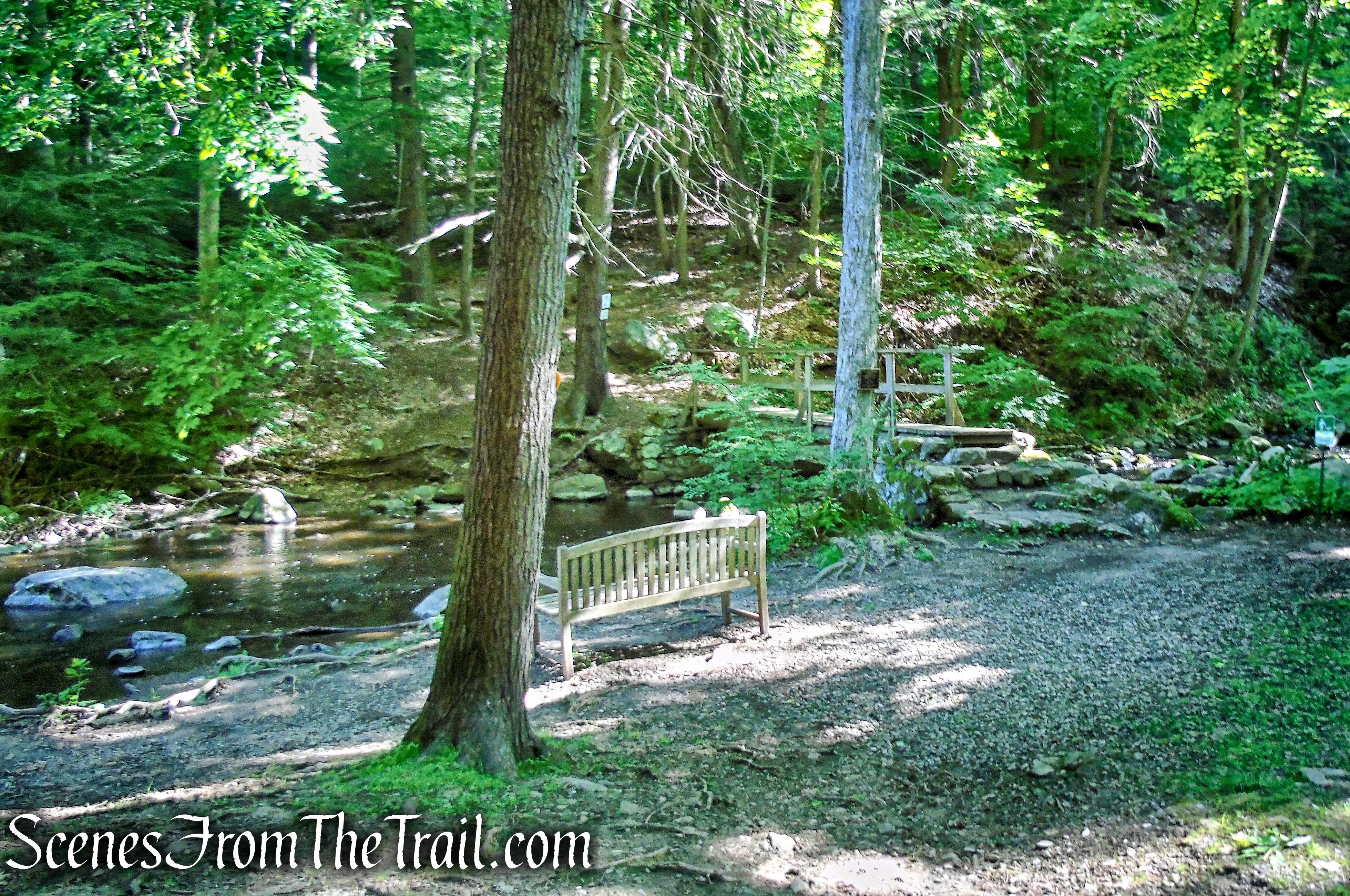 Glebe Trail - St. Matthew's Church Woodlands