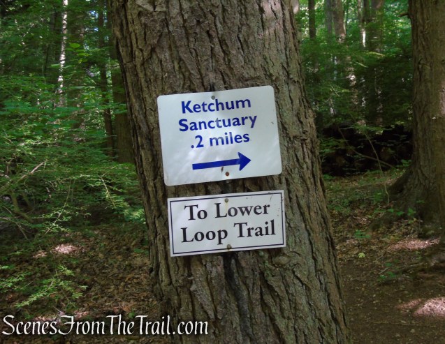 Glebe - Ketchum Connector