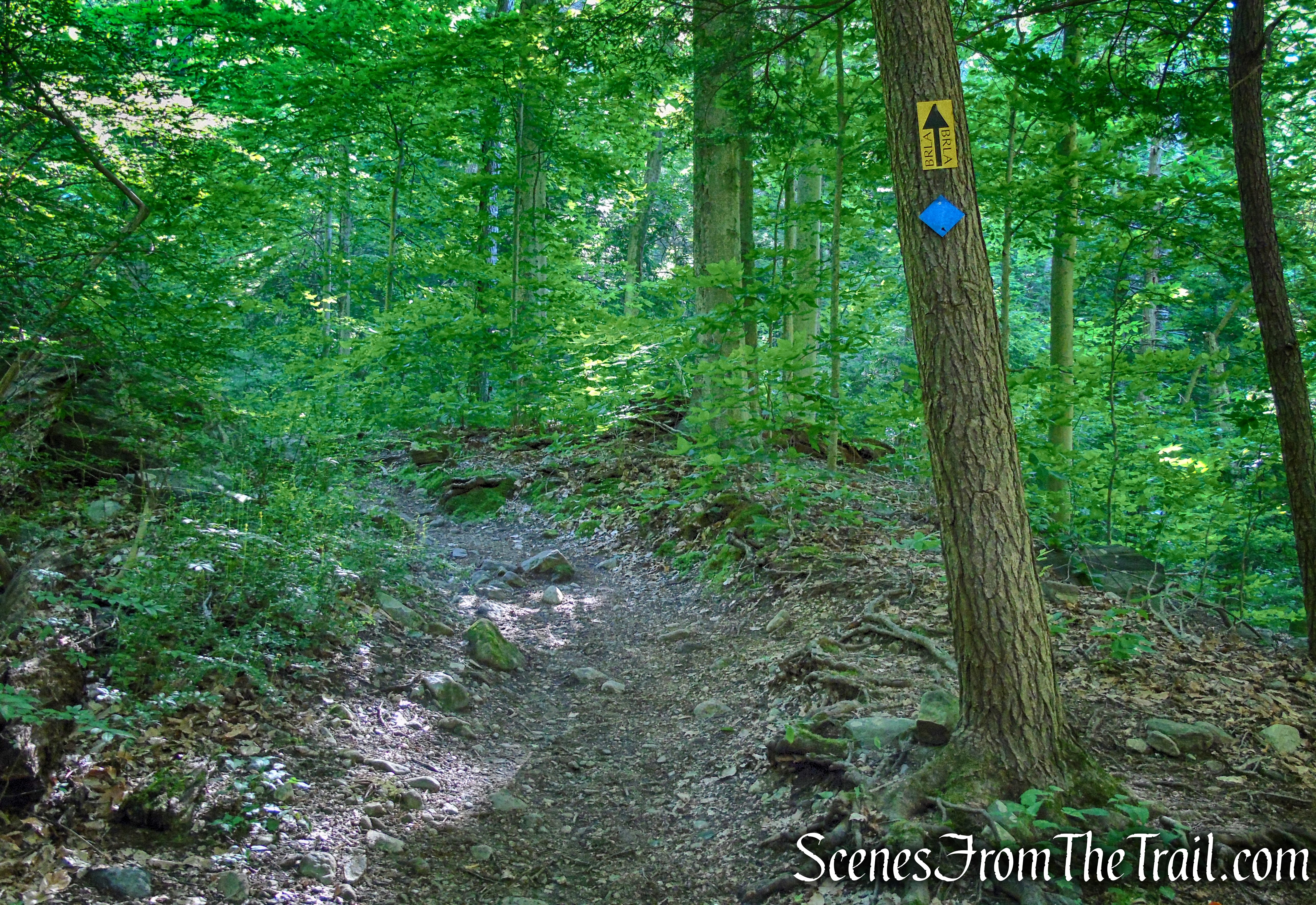 Glebe and Ketchum Sanctuary Trails