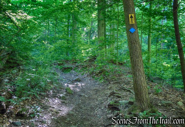 Glebe and Ketchum Sanctuary Trails