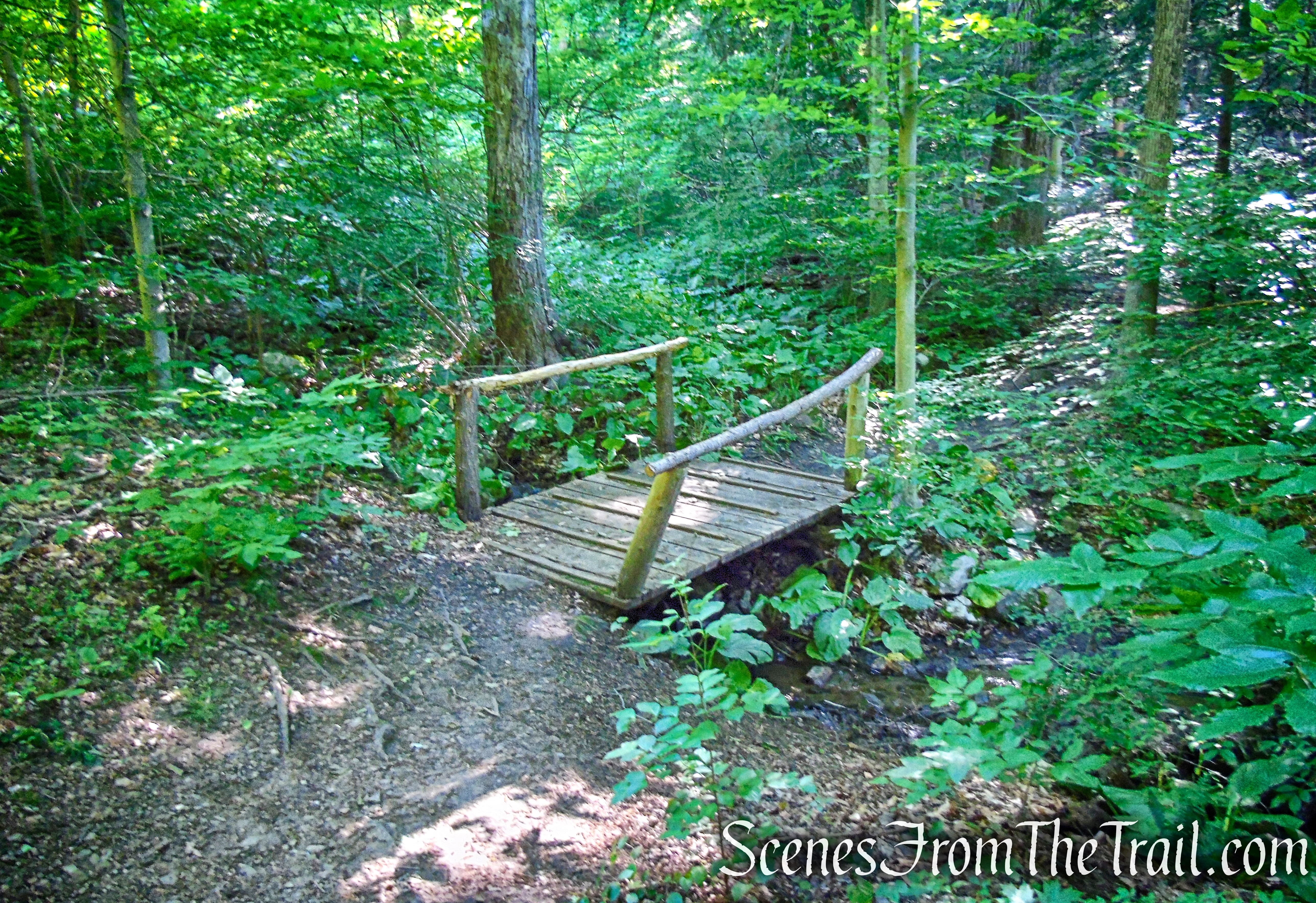 Glebe - Ketchum Connector