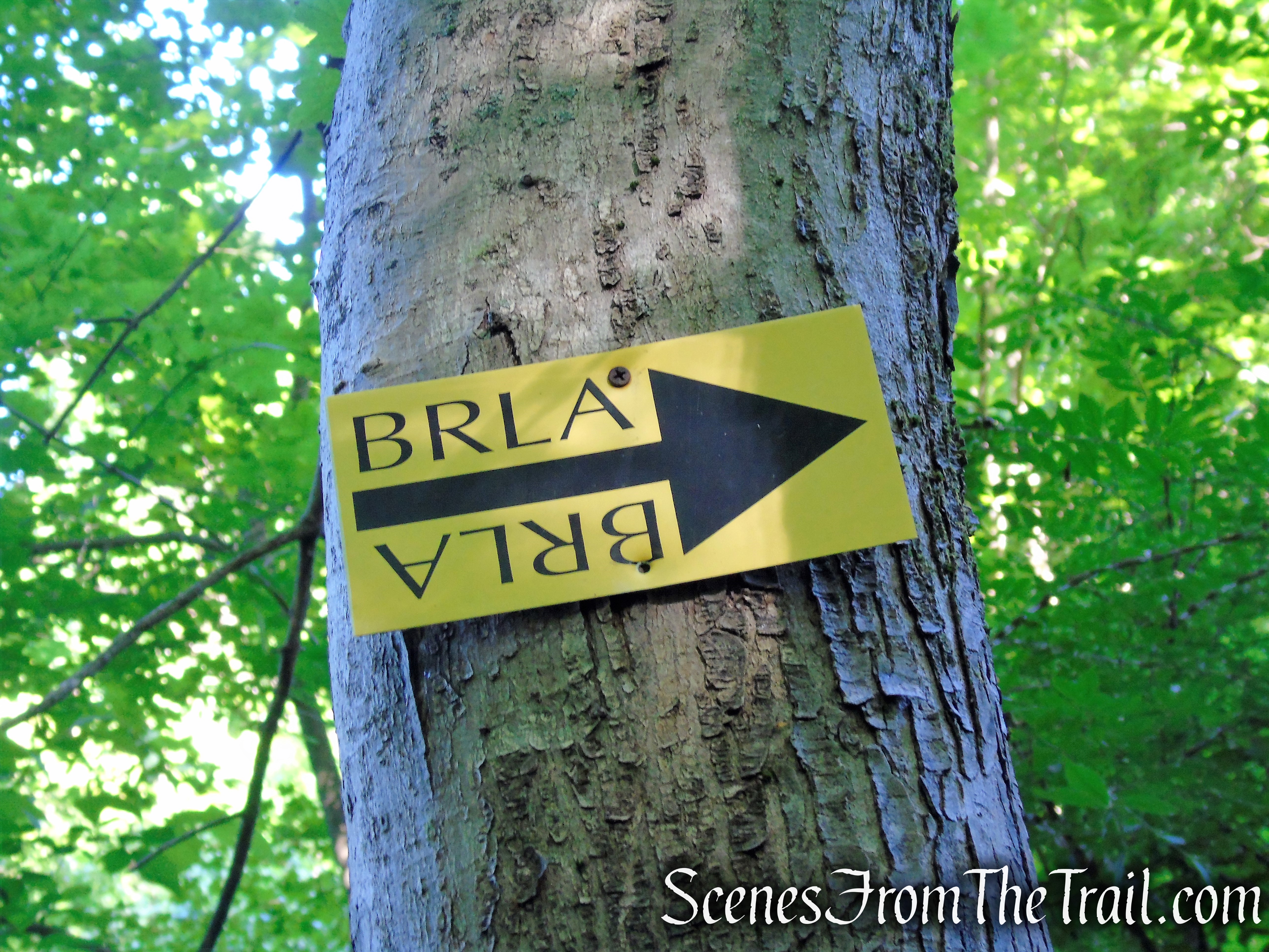 BRLA horse trail