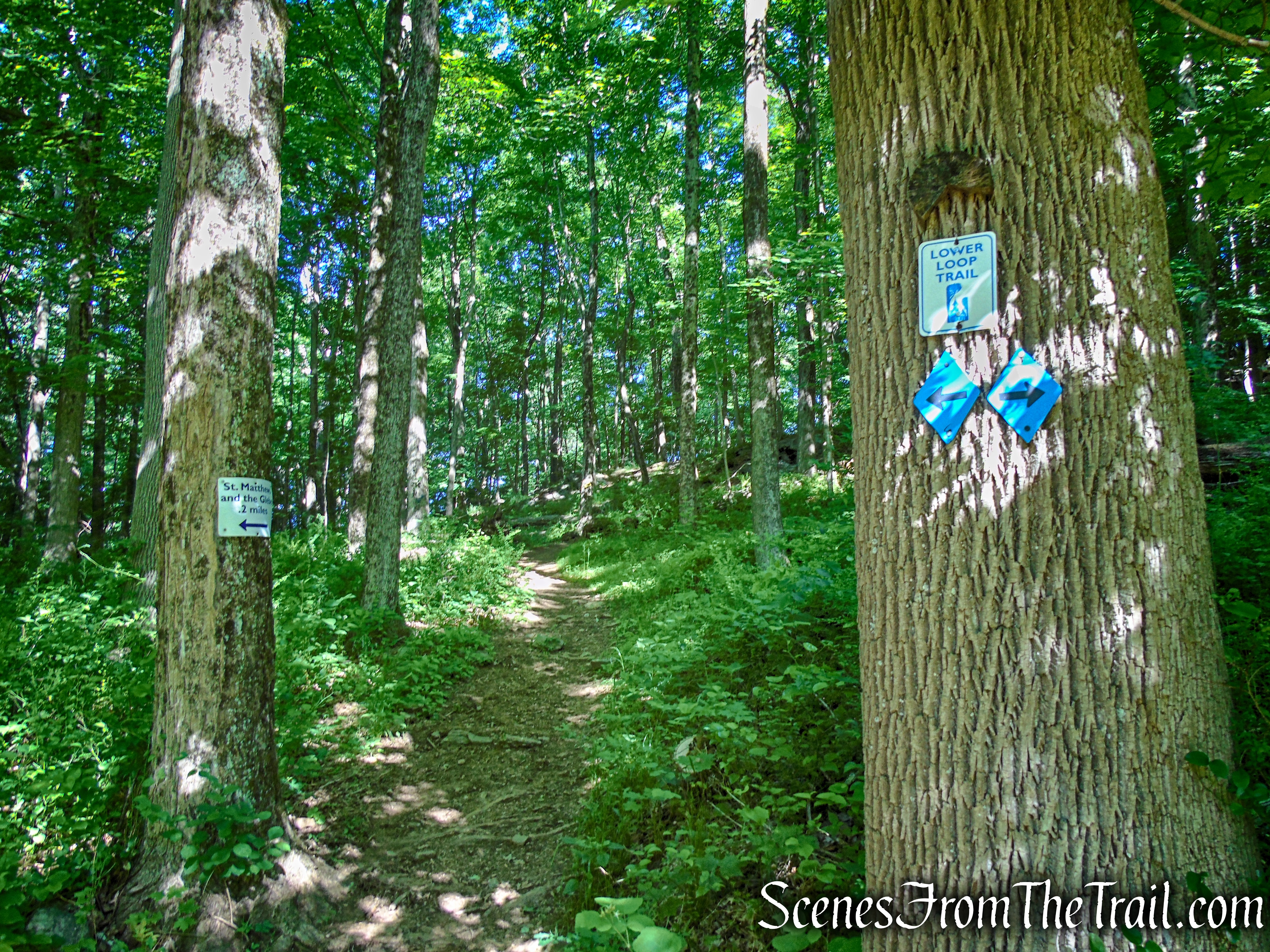 Lower Loop - St. Matthew's Church Woodlands