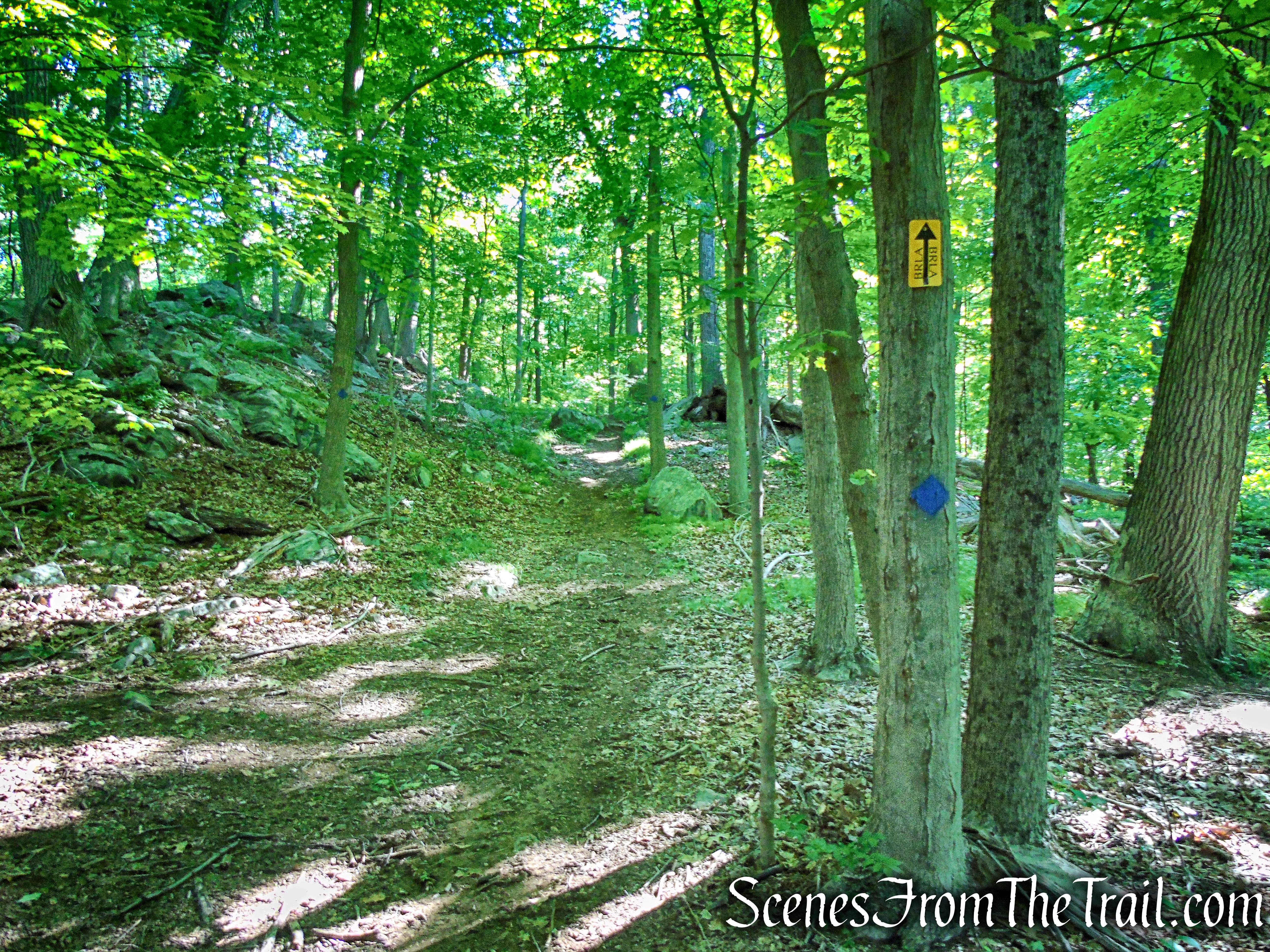 Lower Loop - St. Matthew's Church Woodlands