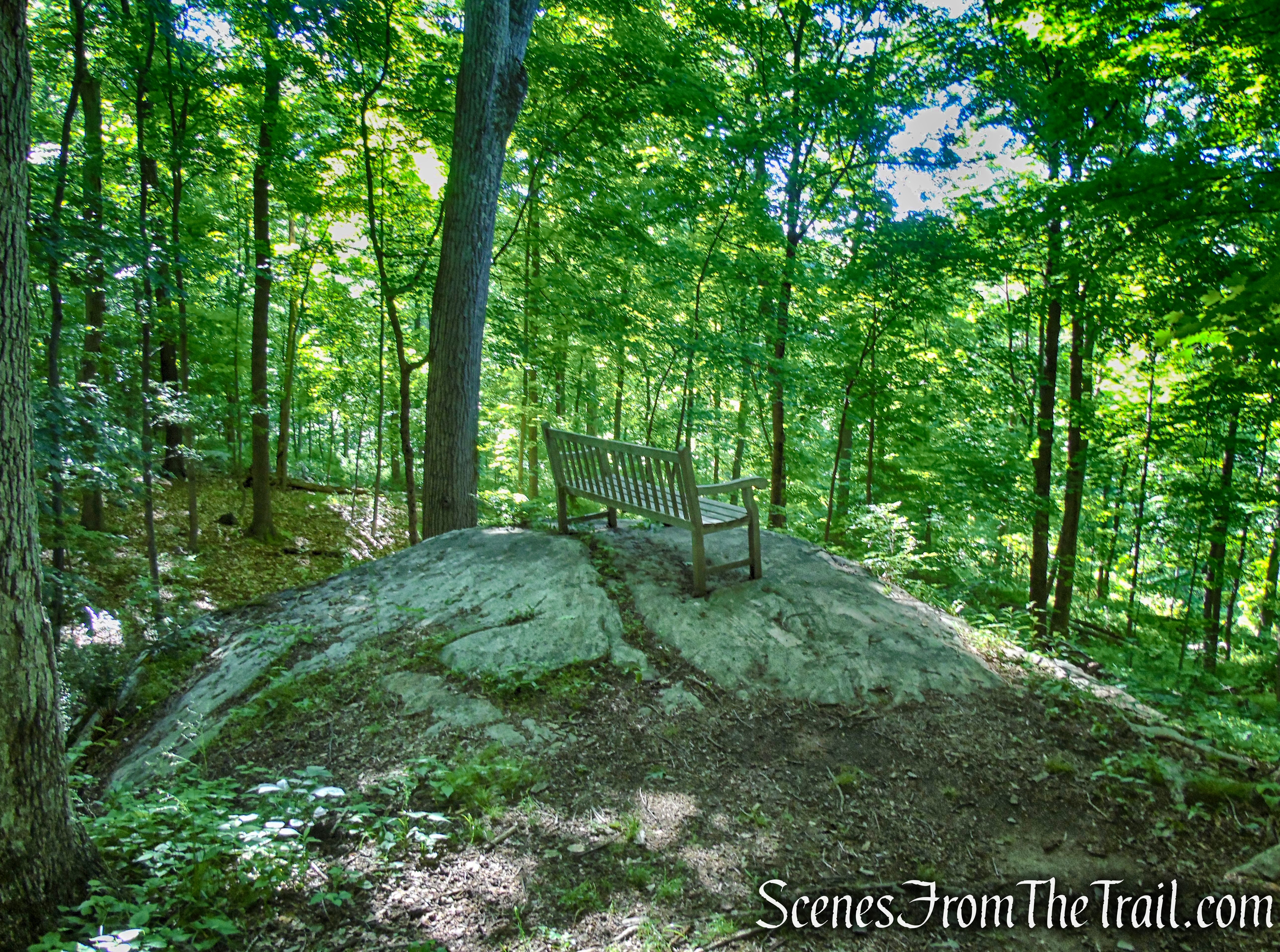 Lower Loop - St. Matthew's Church Woodlands